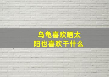 乌龟喜欢晒太阳也喜欢干什么