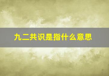 九二共识是指什么意思