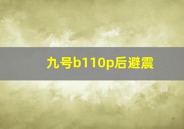 九号b110p后避震