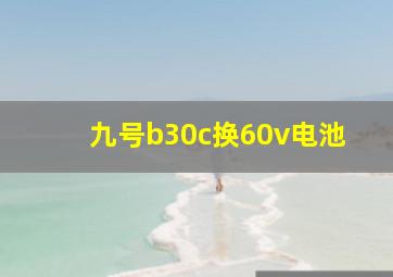 九号b30c换60v电池