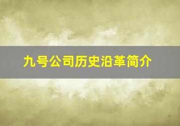 九号公司历史沿革简介