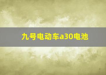 九号电动车a30电池