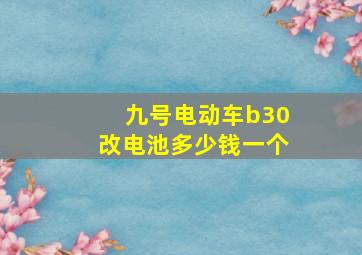 九号电动车b30改电池多少钱一个