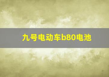 九号电动车b80电池