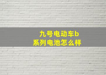 九号电动车b系列电池怎么样