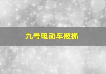 九号电动车被抓