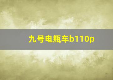 九号电瓶车b110p