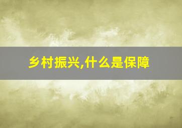 乡村振兴,什么是保障