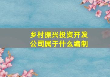 乡村振兴投资开发公司属于什么编制