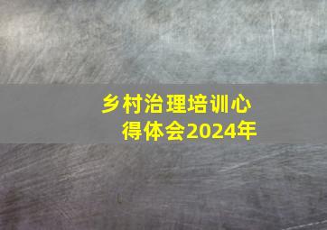 乡村治理培训心得体会2024年