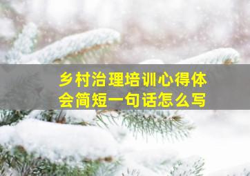 乡村治理培训心得体会简短一句话怎么写