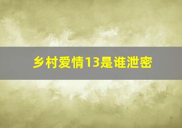 乡村爱情13是谁泄密