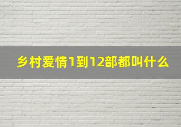 乡村爱情1到12部都叫什么