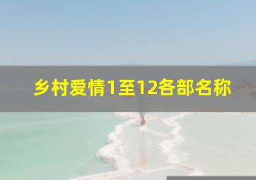 乡村爱情1至12各部名称