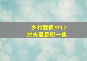 乡村爱情中12对夫妻是哪一集