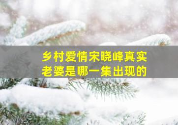 乡村爱情宋晓峰真实老婆是哪一集出现的