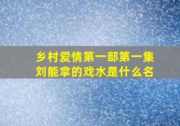 乡村爱情第一部第一集刘能拿的戏水是什么名