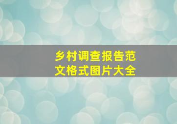 乡村调查报告范文格式图片大全