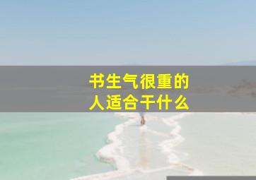 书生气很重的人适合干什么