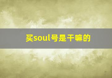 买soul号是干嘛的