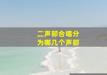 二声部合唱分为哪几个声部