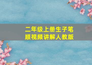 二年级上册生子笔顺视频讲解人教版