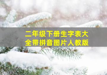 二年级下册生字表大全带拼音图片人教版