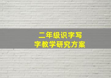 二年级识字写字教学研究方案