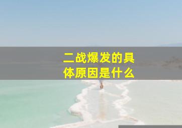 二战爆发的具体原因是什么