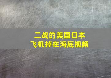 二战的美国日本飞机掉在海底视频