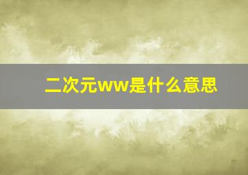 二次元ww是什么意思