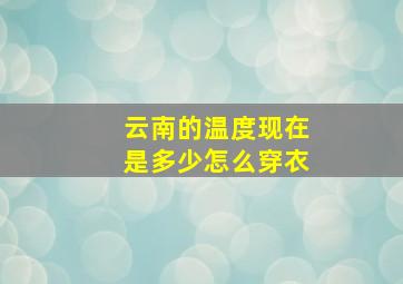 云南的温度现在是多少怎么穿衣