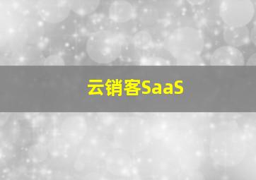 云销客SaaS