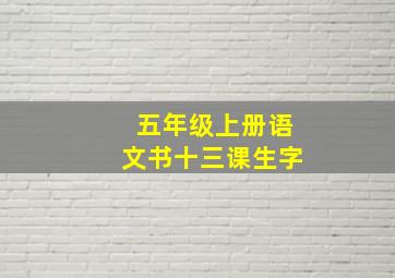 五年级上册语文书十三课生字