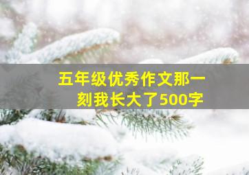 五年级优秀作文那一刻我长大了500字