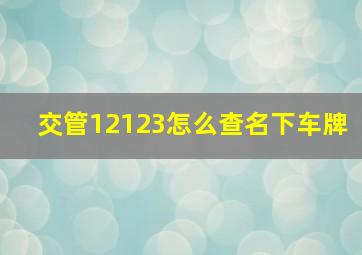 交管12123怎么查名下车牌