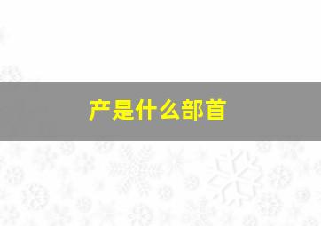 产是什么部首