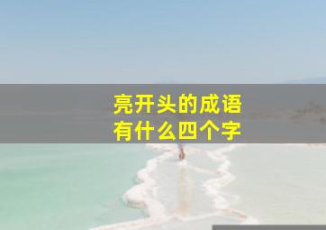 亮开头的成语有什么四个字