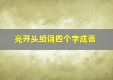 亮开头组词四个字成语