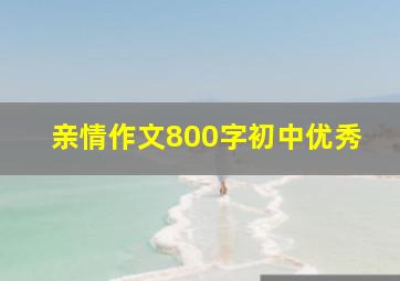 亲情作文800字初中优秀