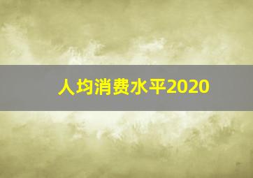 人均消费水平2020