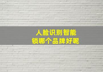 人脸识别智能锁哪个品牌好呢