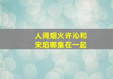 人间烟火许沁和宋焰哪集在一起