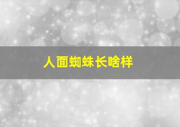 人面蜘蛛长啥样