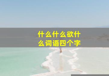 什么什么欲什么词语四个字