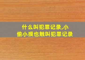 什么叫犯罪记录,小偷小摸也触叫犯罪记录