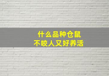 什么品种仓鼠不咬人又好养活