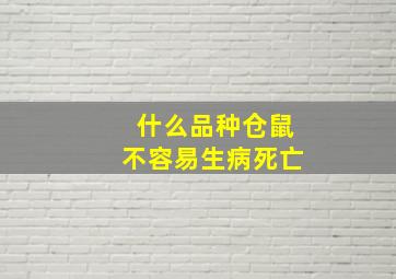 什么品种仓鼠不容易生病死亡