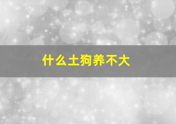 什么土狗养不大