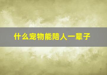 什么宠物能陪人一辈子